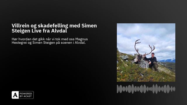 Villrein og skadefelling med Simen Steigen Live fra Alvdal смотреть онлайн