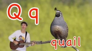 Animal Alphabet Phonics Song For Kids | Wild Animals | Learn English Children