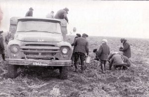 Колхозная жизнь в СССР