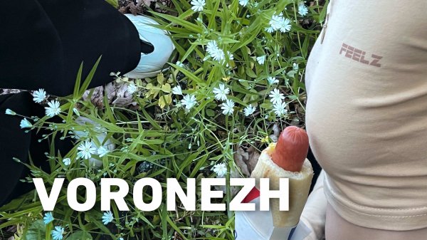 ВОЛШЕБНЫЙ ЛЕС | НОСТАЛЬГИЯ | ПЕРЕЕХАЛ ВЕЛОСИПЕДИСТ | 9Й КИЛОМЕТР