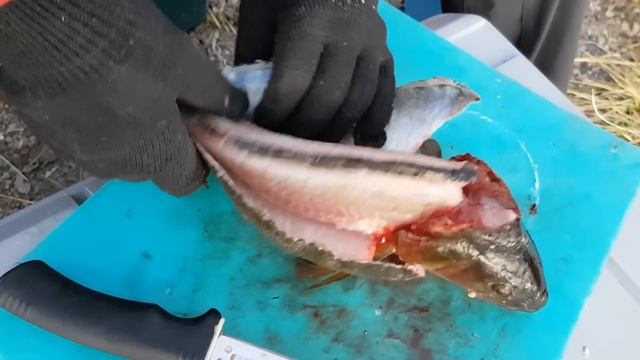 Разделка окуня, быстро, легко и просто! смотреть онлайн