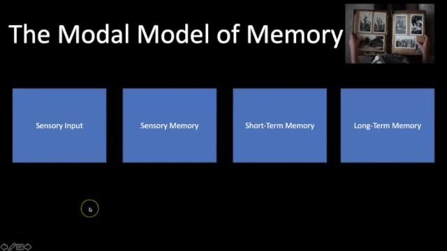 What is the Modal Model of Memory смотреть онлайн