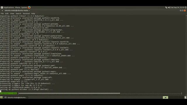 Установка Snapcraft 2.17 на Ubuntu 16.04 LTS MATE смотреть онлайн