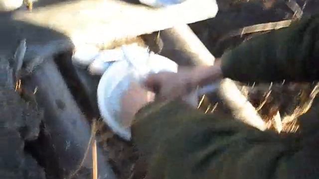 Это о тебе, Мой Сашенька!