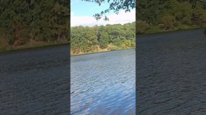 МАТРОСИК  НА  ТЕЙЛ СПИННЕР