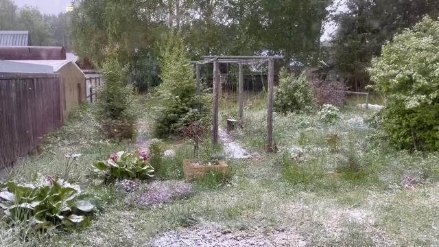 САД В ИЮНЕ/ ЗАМОРОЗКИ смотреть онлайн