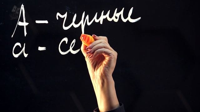 Решение генетических задач на моногибридное и дигибридное скрещивание. 9 класс. смотреть онлайн