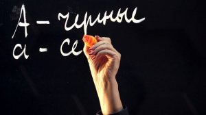 Решение генетических задач на моногибридное и дигибридное скрещивание. 9 класс.