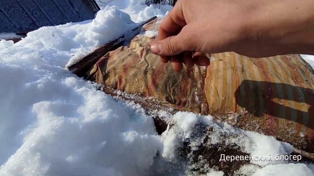 Шершни поселились в ловушке для пчел! смотреть онлайн