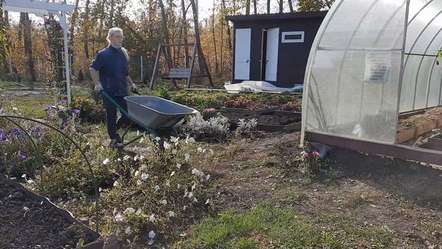 Работы на участке в октябре,разбираем строительный мусор,собираем урожай капусты... смотреть онлайн