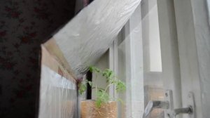 Светоотражающий ЭКРАН ДЛЯ РАССАДЫ из фольги | Чтобы рассада НЕ ВЫТЯГИВАЛАСЬ