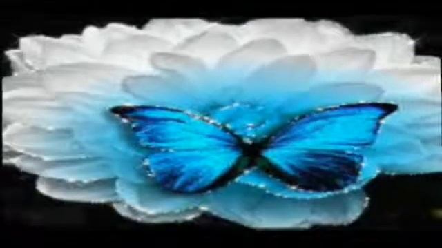 97 Jasmin First Love Vid смотреть онлайн