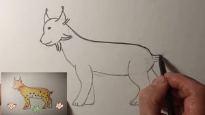 Как нарисовать рысь
