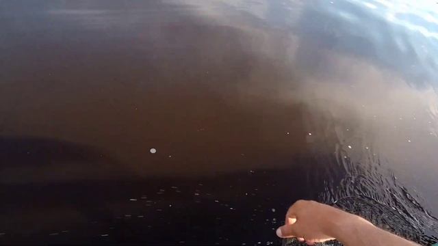 Окунь пулемëтчик на китайский пилькер, самый простой способ. смотреть онлайн