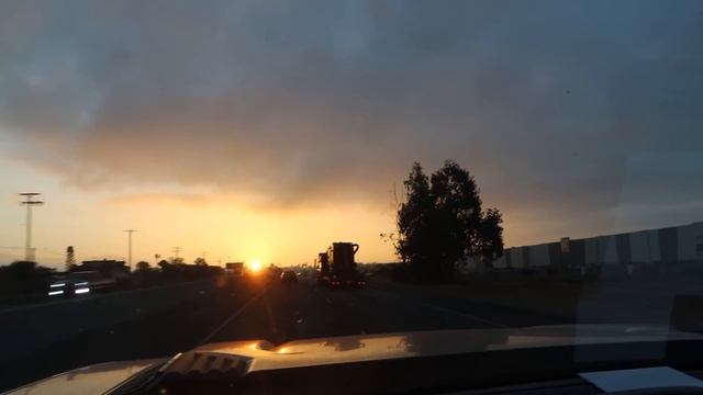 Day One with a Wild Mustang | Mustang Magic 2023 смотреть онлайн