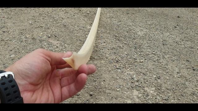 Спойлер на багажник Vw Passat B8