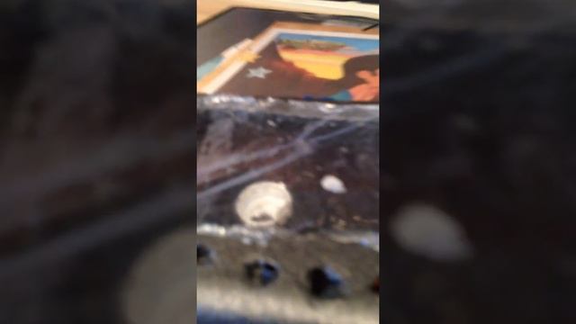 Как ухаживать за лягушками? смотреть онлайн