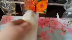 сеем календулу на рассаду для раннего цветения.зацветет на месяц раньше.