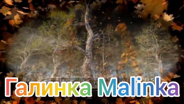 Ольга Уралочка live /Важная информация /Обзор Влогов /Уралочка и Сафар / смотреть онлайн