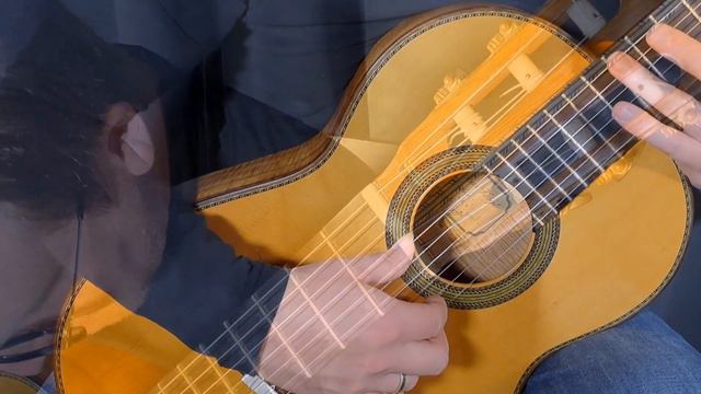Leo Brouwer - An Idea