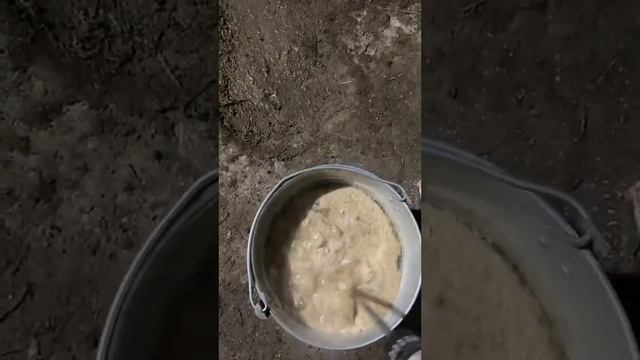 каша для откорма бычков. 7 л воды 1,2 кг ячменя смотреть онлайн