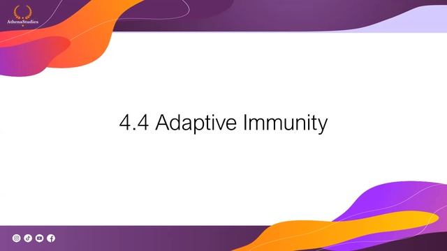 Free exam training | Biological Psychology | TiU Psychology смотреть онлайн