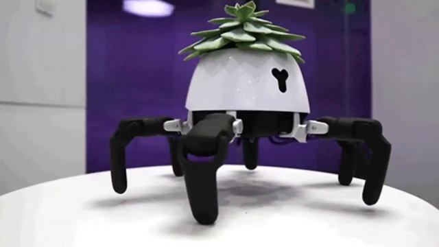 Роботизированные горшки как новый шаг в эволюции растений смотреть онлайн