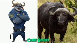 «Зверополис» в реальной жизни / «Zootopia» in real life