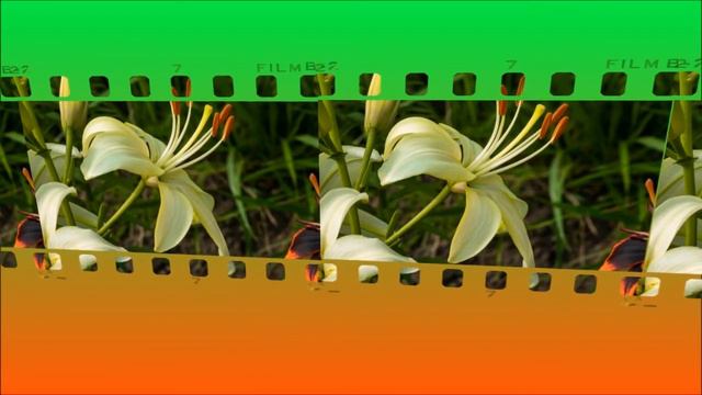 8 марта смотреть онлайн