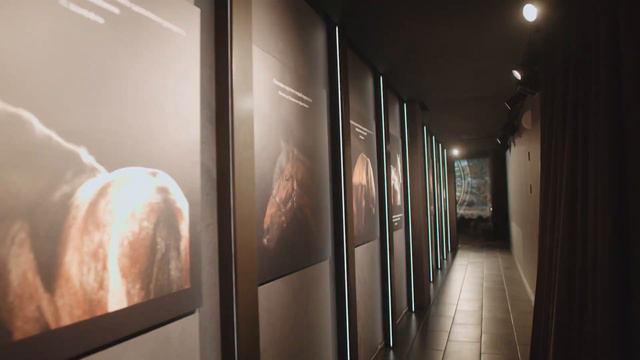 Центр национальных конных традиций. Музей Лошади на ВДНХ. смотреть онлайн