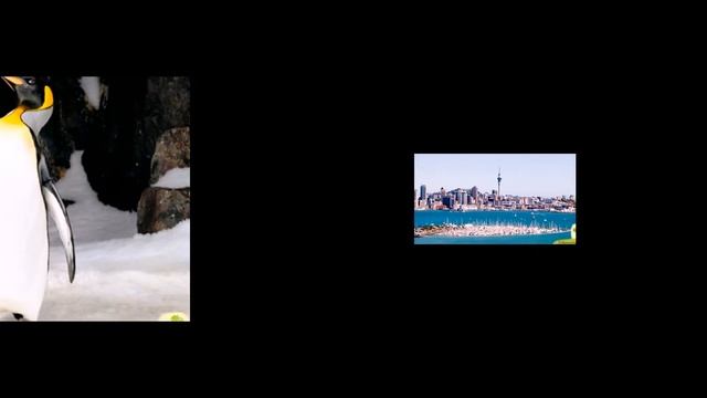 Путешествие по городу Окленд, Новая Зеландия смотреть онлайн