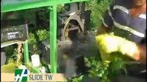 Машина для уборки зеленых культур модель SLIDE TW комбайн для уборки мелколистных салатов, укропа,