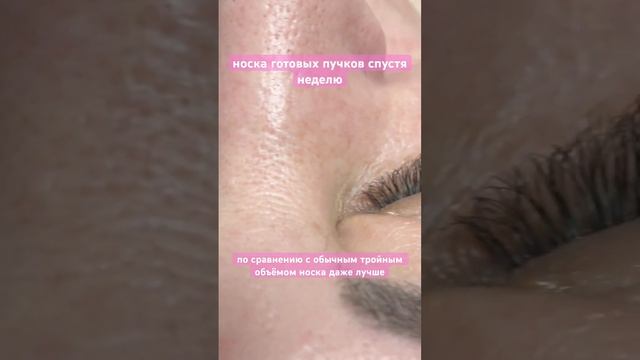 Готовые пучки спустя неделю?? #лэшмейкер #наращиваниересниц #готовыепучки смотреть онлайн