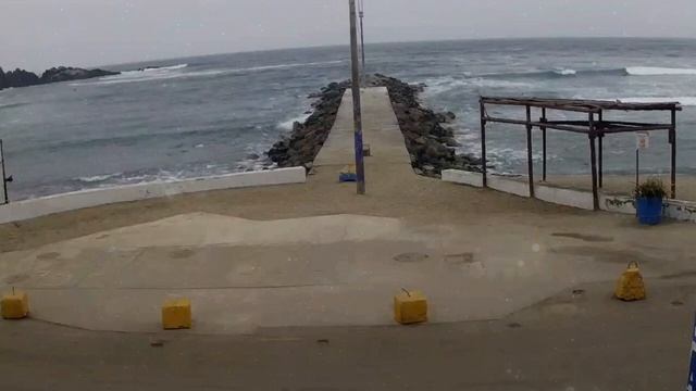 6 признаков старости у мужчин. Ироничные цитаты Михаила Жванецкого. смотреть онлайн