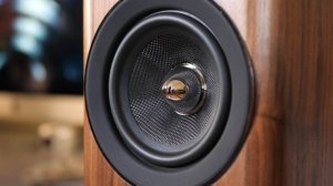 Wharfedale Evo 4.1 – My Opinion❗