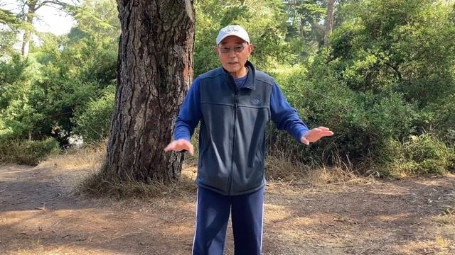 Master George Xu 6/30/20 a смотреть онлайн