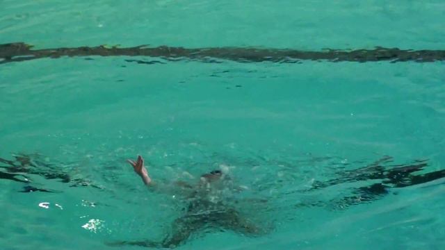Haziran 2015 Sampiyona Anabilim Cesi Solo смотреть онлайн