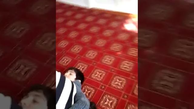 Орёл и Кабан