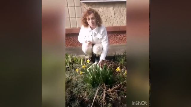 Прогулянка спостереження за квітами смотреть онлайн