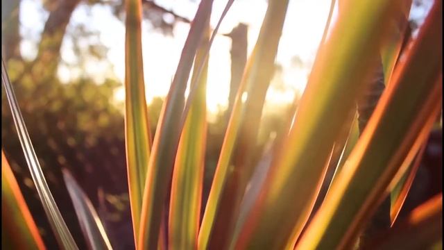 Пока муж был в командировке, жена изменила за новые сережки от начальника. Истории измен смотреть онлайн