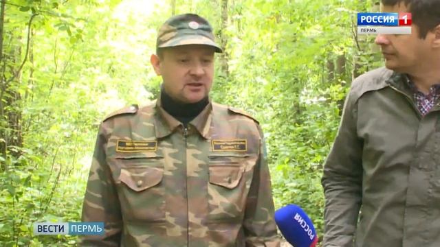 Изгнание клещей: в пермских лесах провели масштабную обработку смотреть онлайн