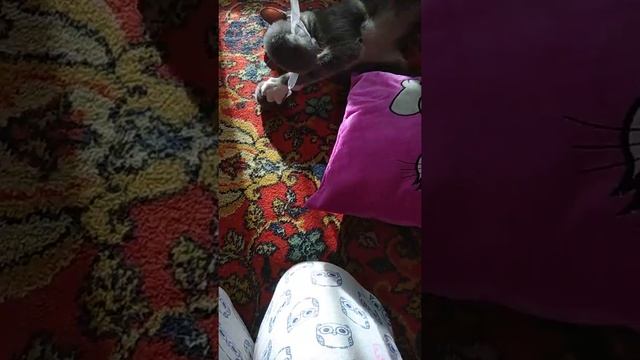 Подарки коту на новый год !!!! И поздравляю мужчин смотреть онлайн
