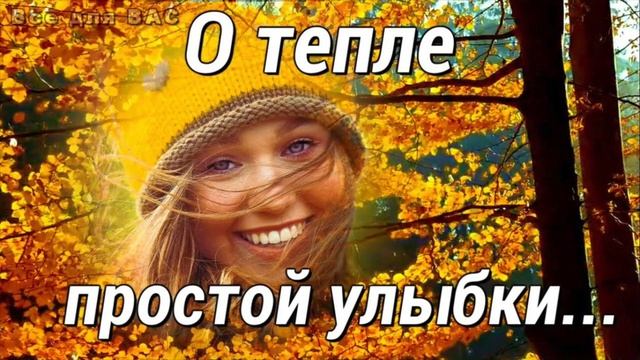 Самарина-О тепле простой улыбки смотреть онлайн