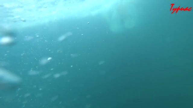 Крым . Отдых Дикарями . Парковое. Палатками на море смотреть онлайн