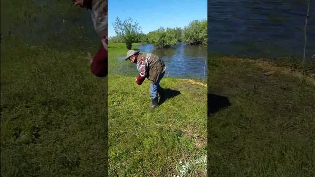 Как не надо кидать донку смотреть онлайн