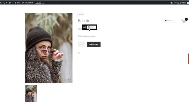 Multi Currency Converter WordPress Intro смотреть онлайн