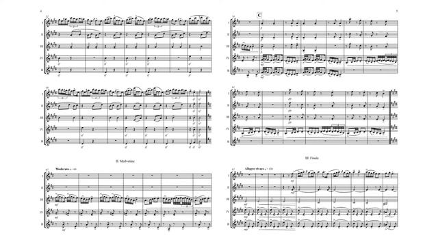 Transylvanian Dances - Clarinet Quintet смотреть онлайн