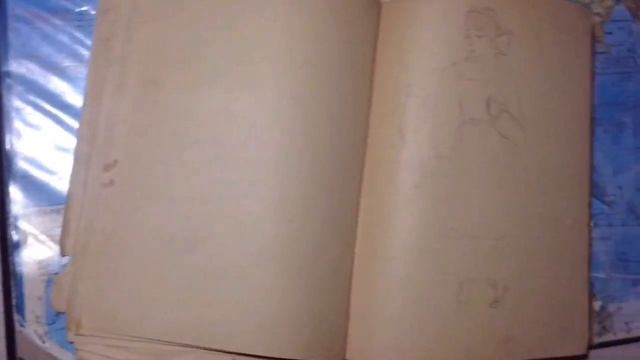 Скетчбук, которому более 50 ЛЕТ! Обзор скетчбука бабушки смотреть онлайн