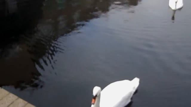 Brighton Брайтон Англия смотреть онлайн