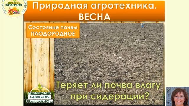 Всё о сидератах. Какую пользу приносят сидераты? смотреть онлайн